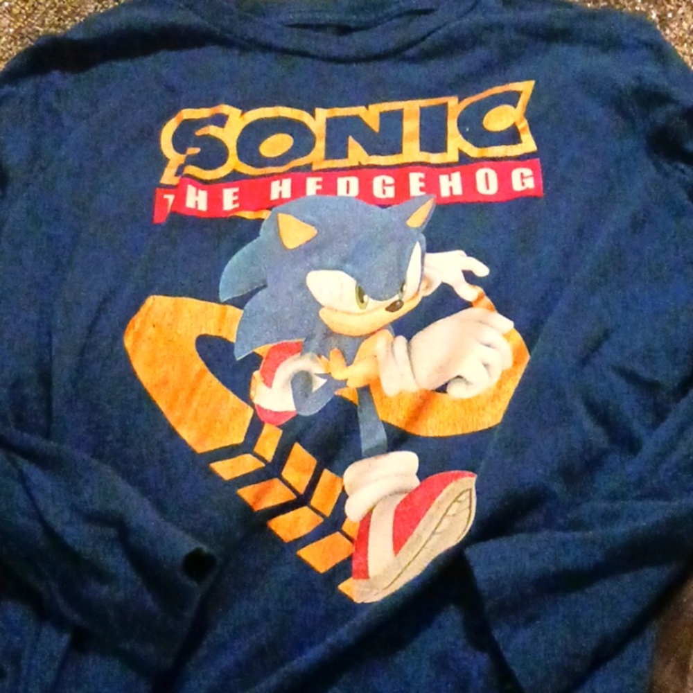 Sonic the hedge hog